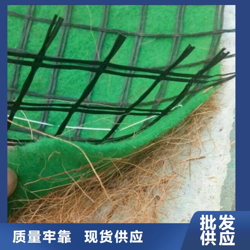 植生椰丝毯-护坡植被植草毯