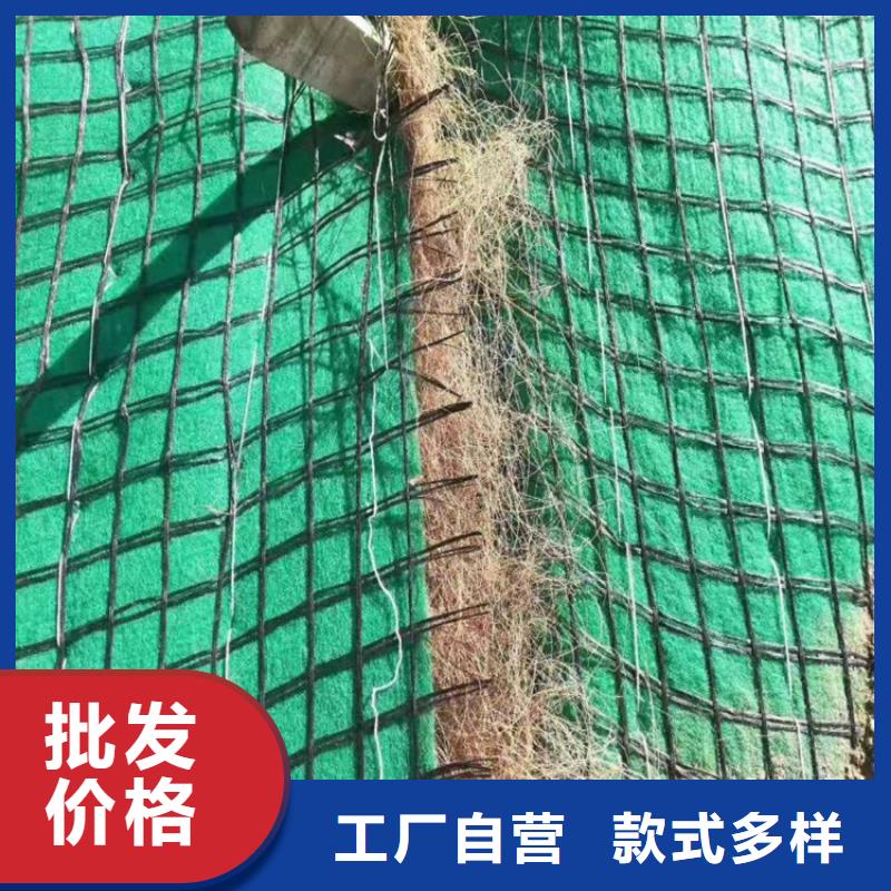 植物生态防护毯当地公司