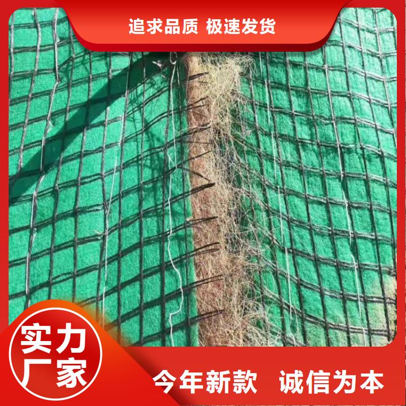 植物生态防护毯产品新闻-已更新