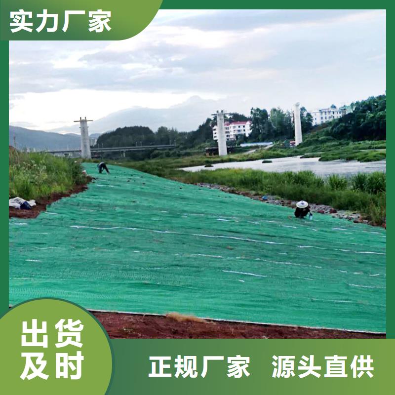 加筋抗冲生态毯-植物生态防护毯