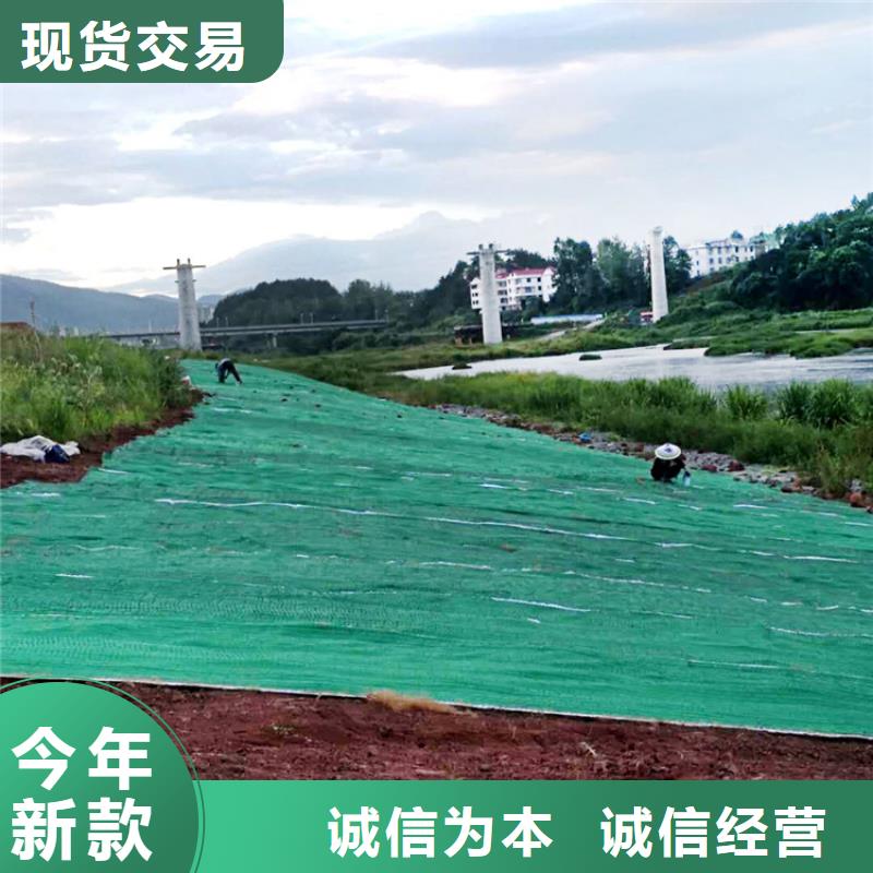 植生椰垫-绿化草毯