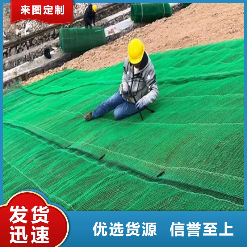 椰纤植生毯-生态环保草毯施工图片