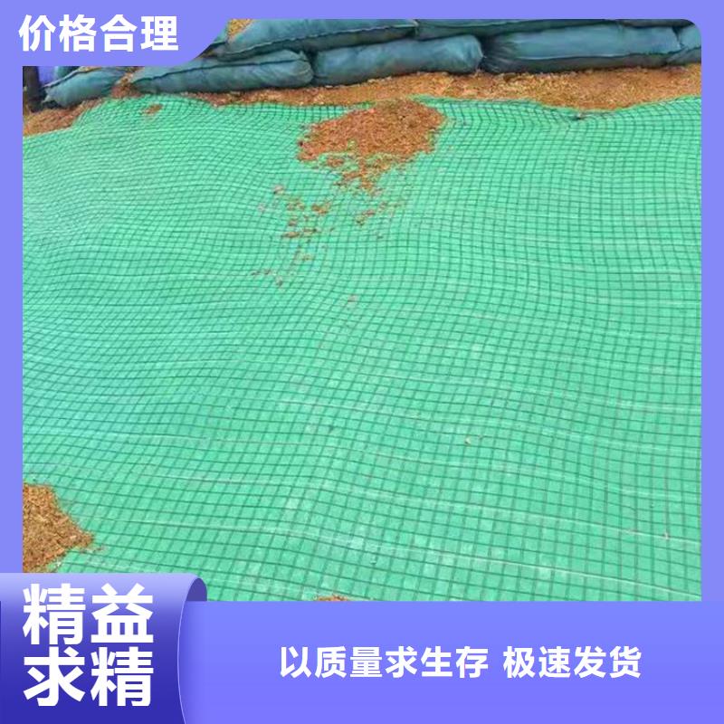 水保椰丝毯支持定制