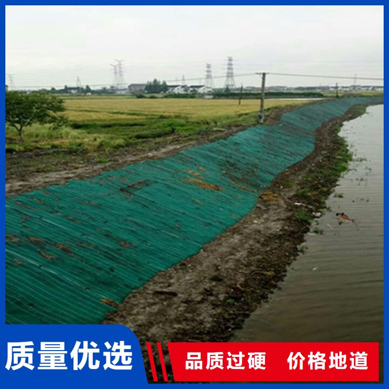 水保加筋椰丝毯绿化毯
