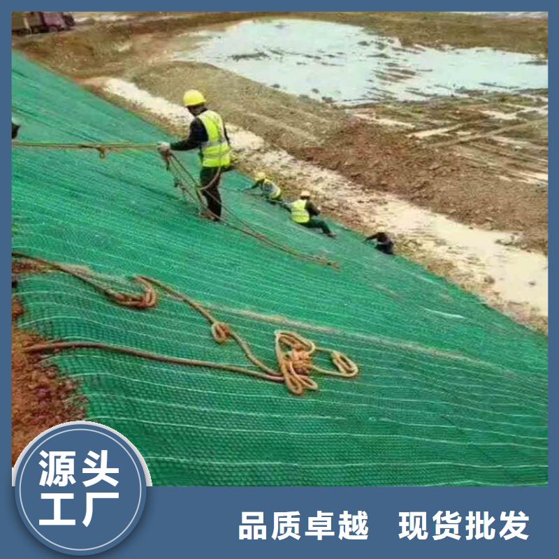 生态环保草毯-加筋抗冲生物毯-植被纤维毯