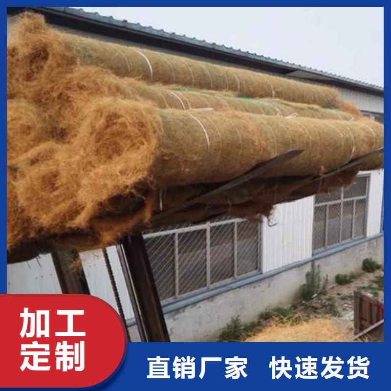 椰纤植生毯-植物生态防护毯