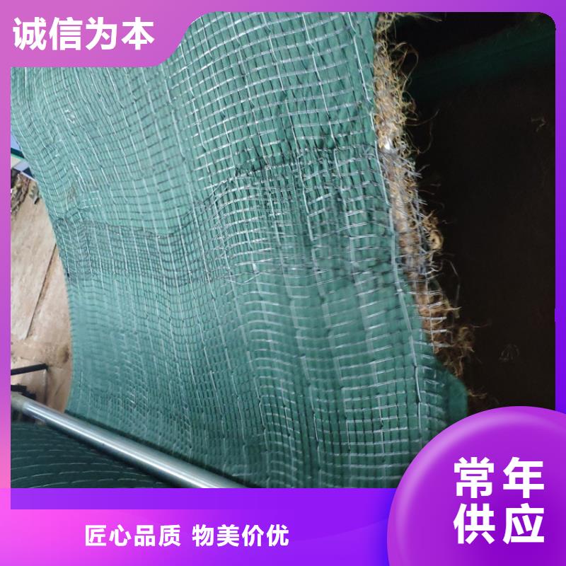 护坡植被植草毯-护坡椰丝毯
