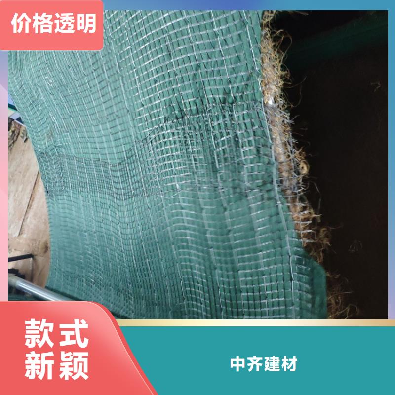 植生椰丝毯-加筋抗冲生态毯