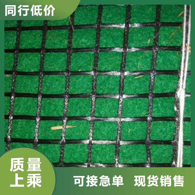 护坡植被植草毯-绿化植被垫