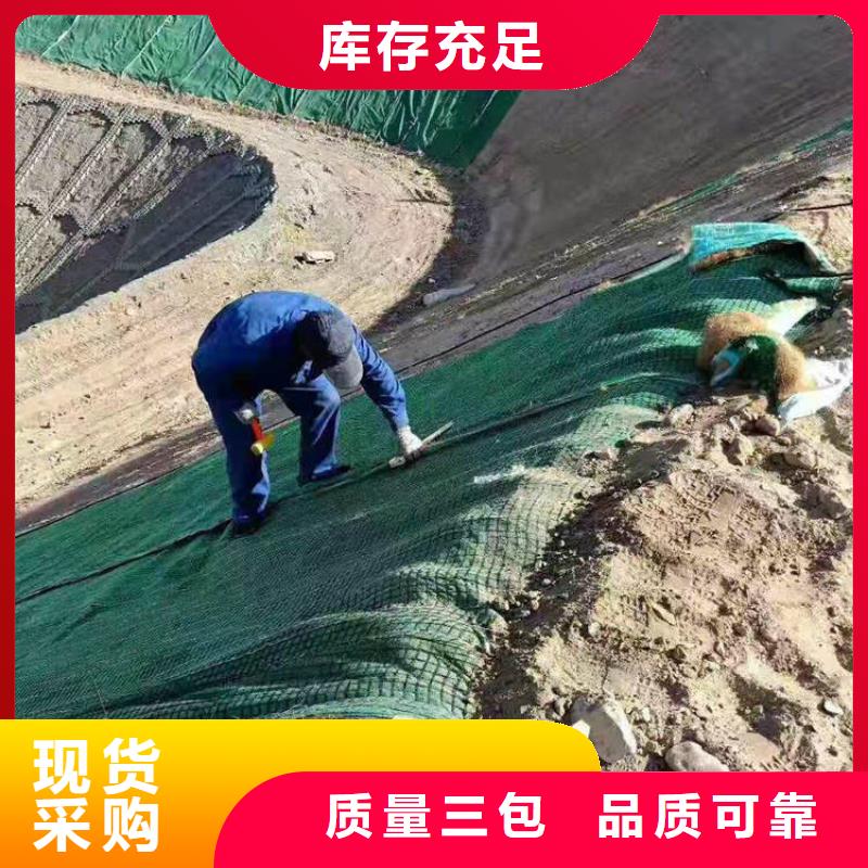 生态环保草毯厂家-公司经销