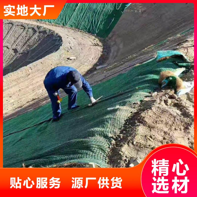 植生椰丝毯-护坡植被植草毯