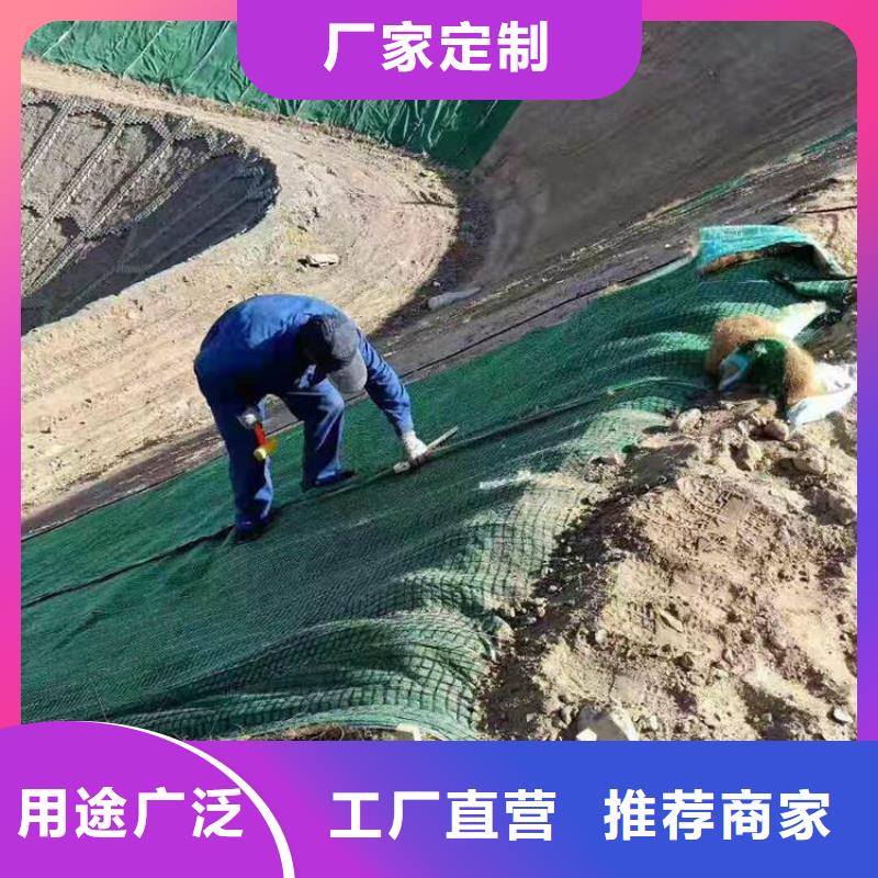 植物纤维毯-加筋抗冲生物毯
