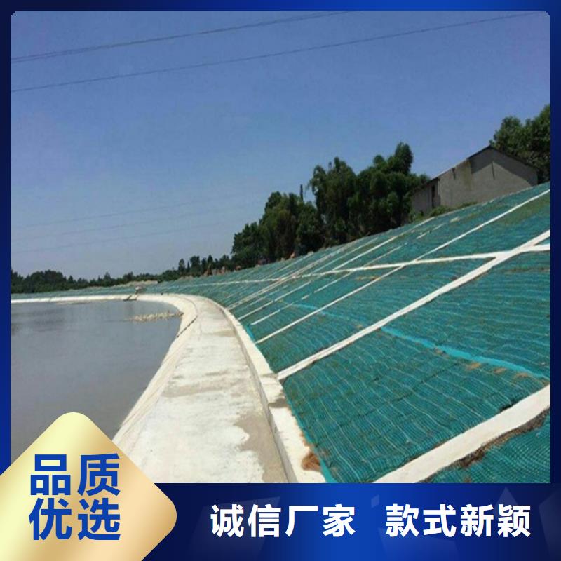 椰纤植生毯-加筋抗冲生物毯-植生草毯