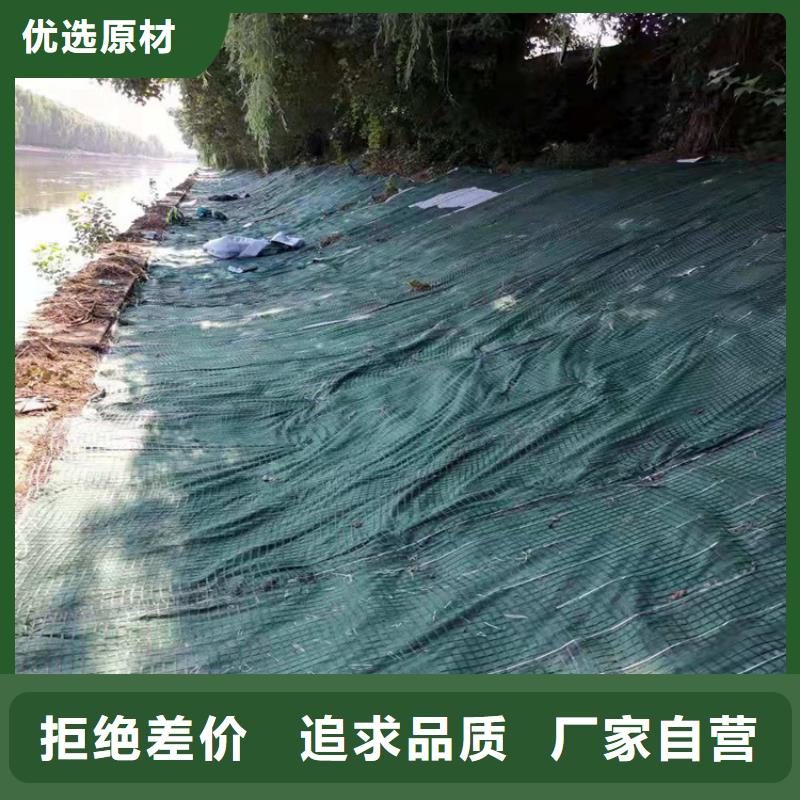 生态环保草毯厂家-公司经销