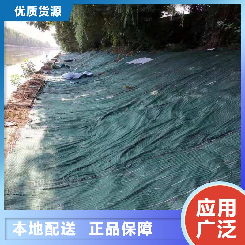 陵水县护坡植被植草毯椰纤植草毯