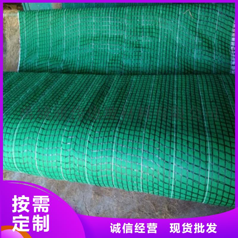 椰纤植生毯-生态环保草毯