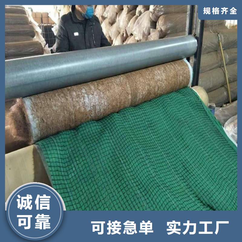 植生椰丝毯-加筋抗冲生物毯-生态毯
