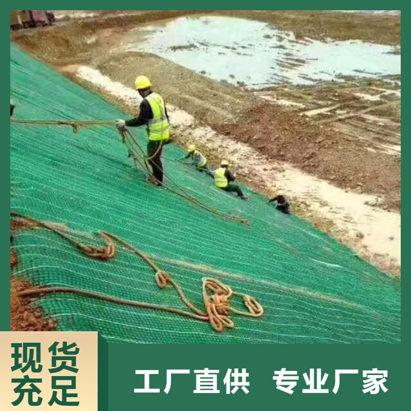 植物纤维毯-生态环保草毯-椰丝植生毯