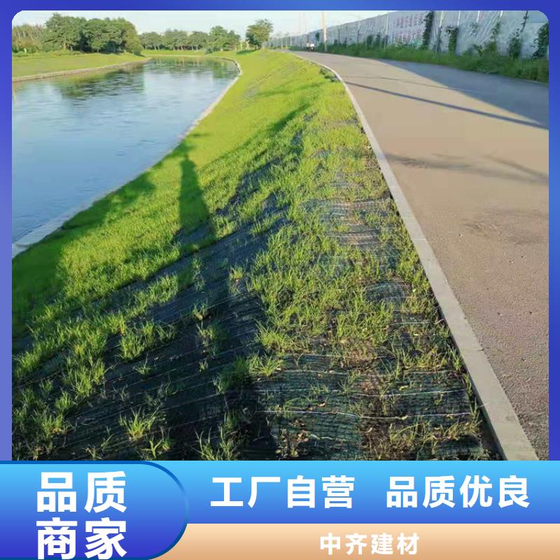 生态环保草毯-加筋抗冲生态毯-加筋复合生态草毯