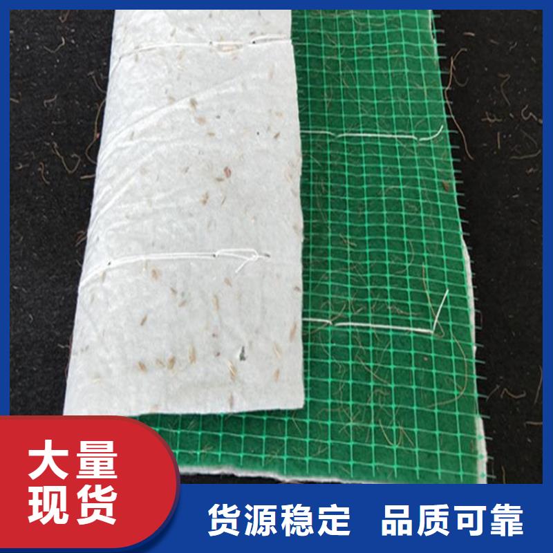 植物纤维毯-加筋抗冲生物毯-生态护坡毯