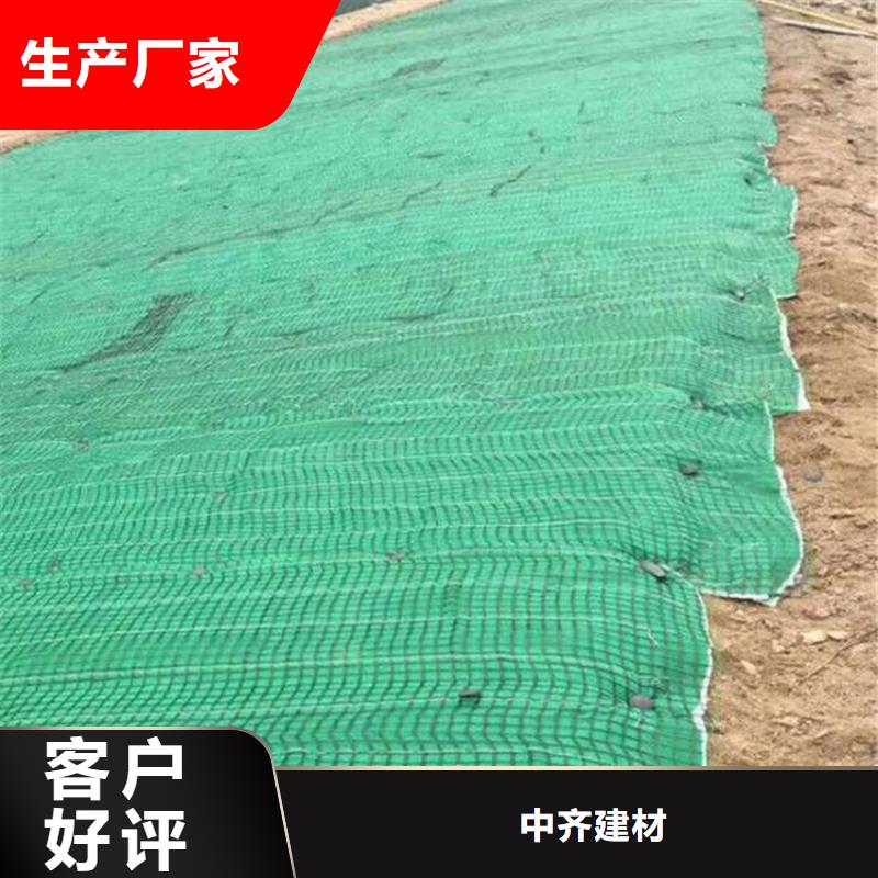 植物生态防护毯-加筋抗冲生物毯