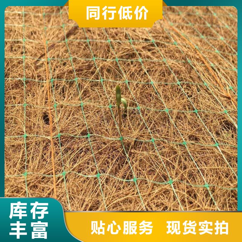 植生椰丝毯-加筋抗冲生物毯-生态毯