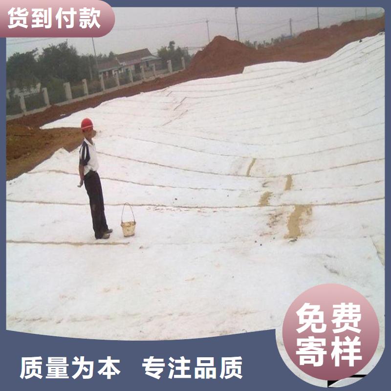 膨润土防水毯植草格精心