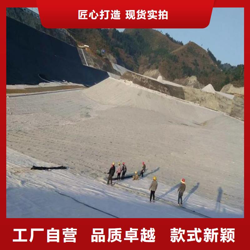 膨润土防水毯止水条可定制