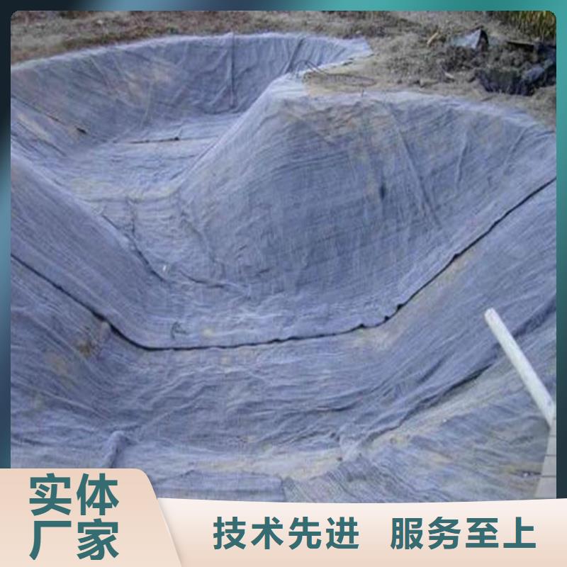 膨润土防水毯,【植草格】免费询价