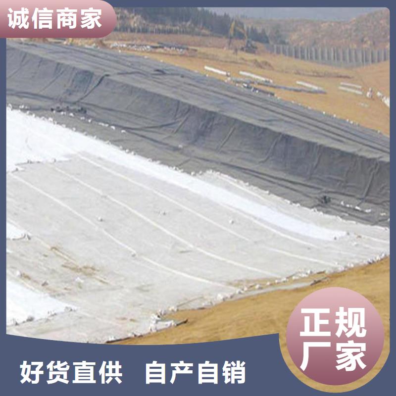 膨润土防水毯-土工网垫严格把关质量放心