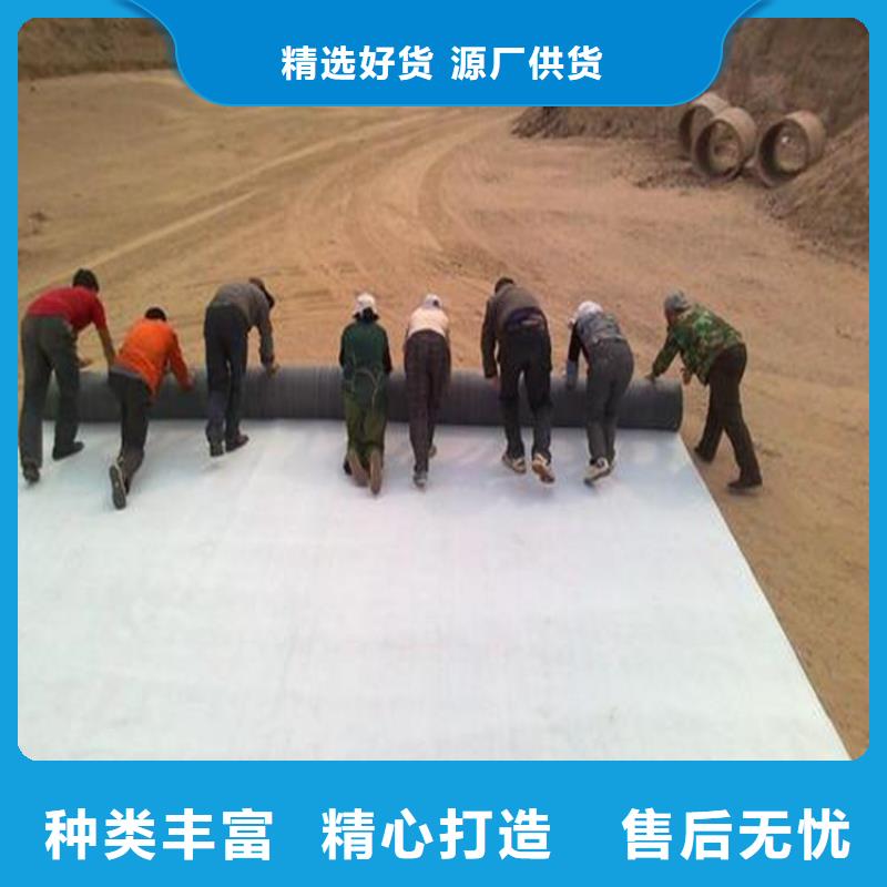 膨润土防水毯聚酯布厂家实力大