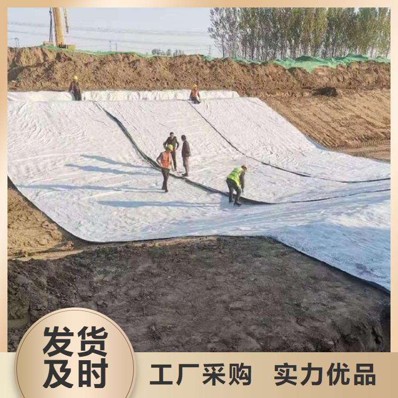 膨润土防水毯,土工布价格低