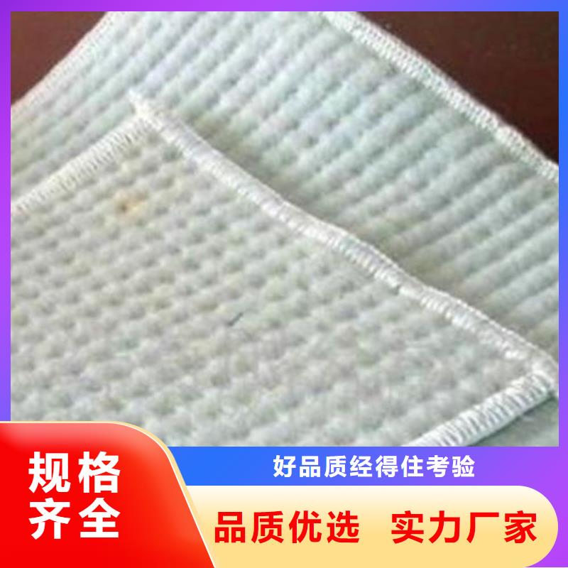 膨润土防水毯双向塑料土工格栅质检严格