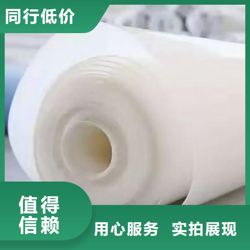 防水板双向土工格栅质量优价格低