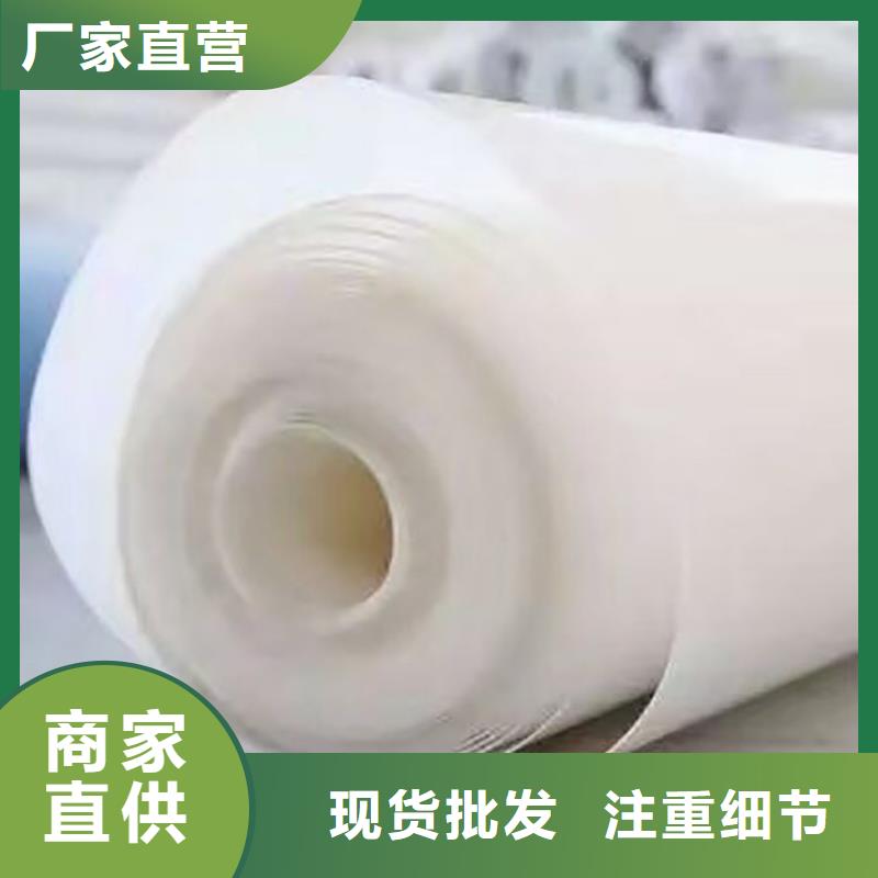防水板双向土工格栅库存量大