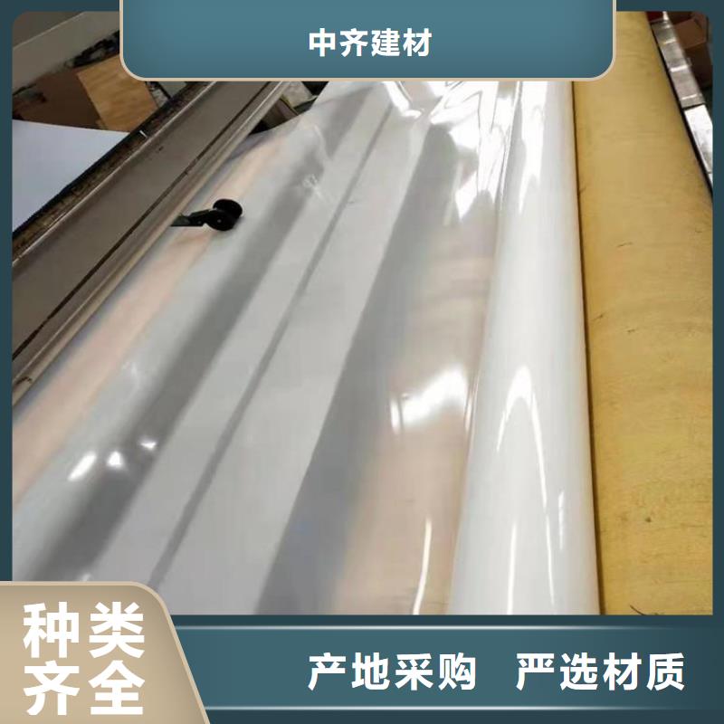防水板双向土工格栅库存量大