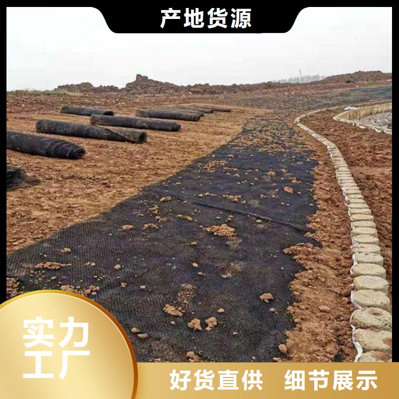水土保护毯聚酯玻纤布的图文介绍