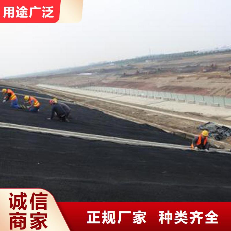【水土保护毯玻纤格栅精工制作】