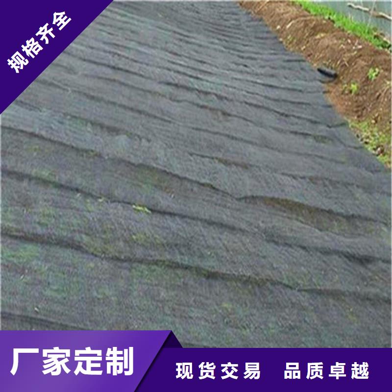 水土保护毯,膨润土防水毯品质商家