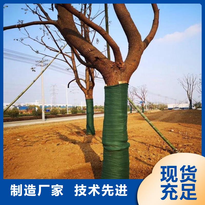 【裹树布,土工格栅当地厂家值得信赖】