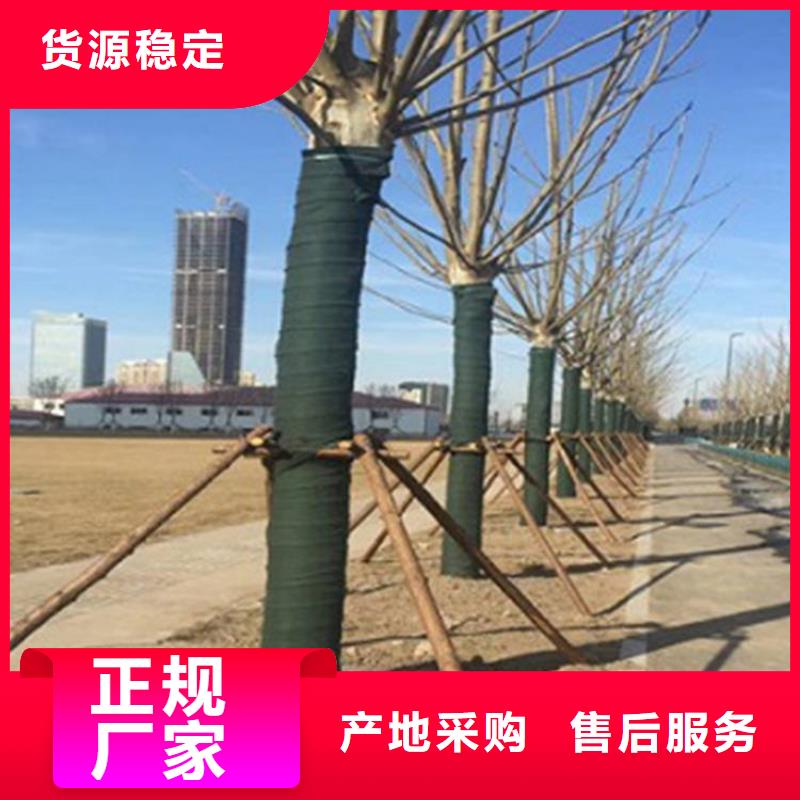 裹树布止水带出货及时