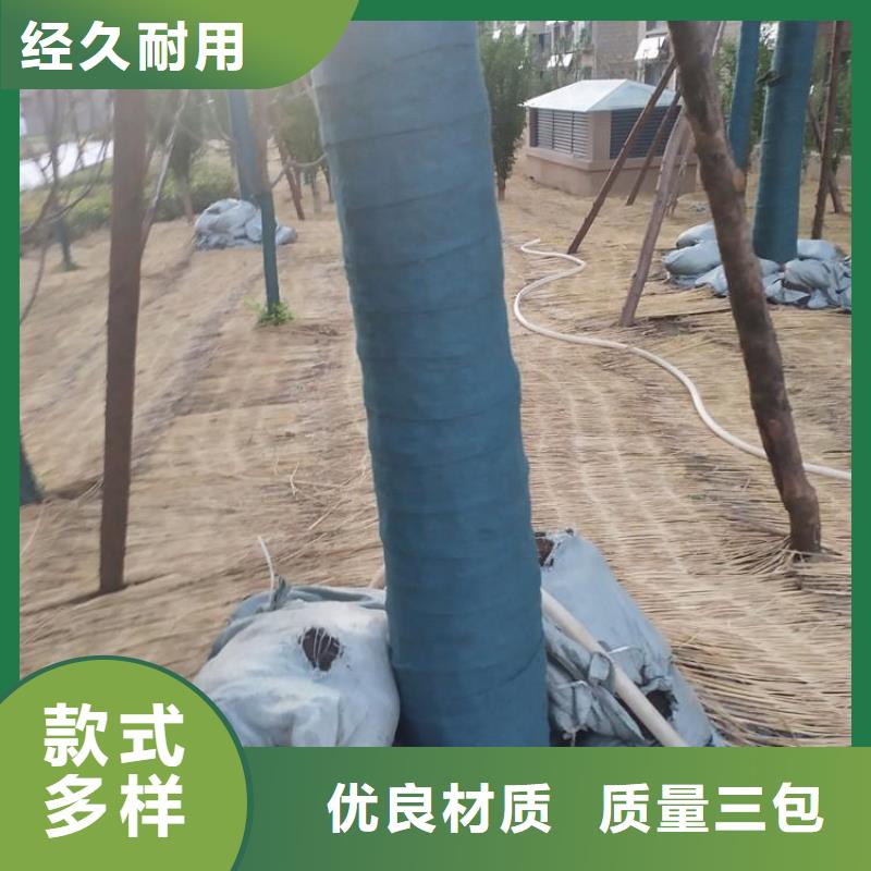 裹树布生态带支持定制