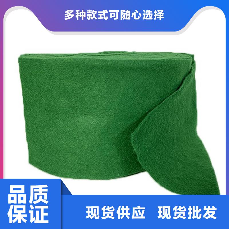 裹树布玻纤格栅精品选购