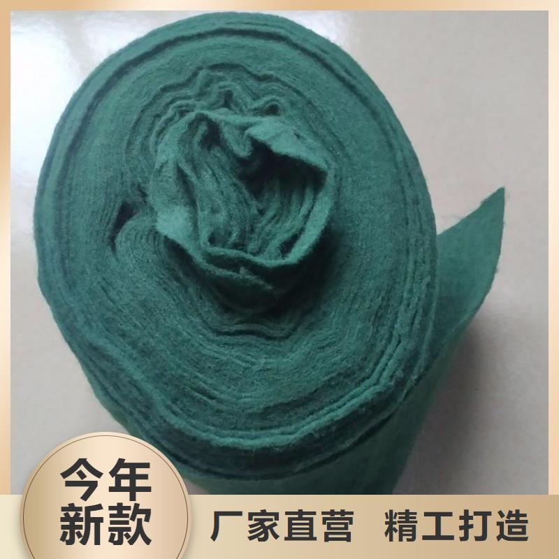 裹树布钢塑土工格栅当日价格