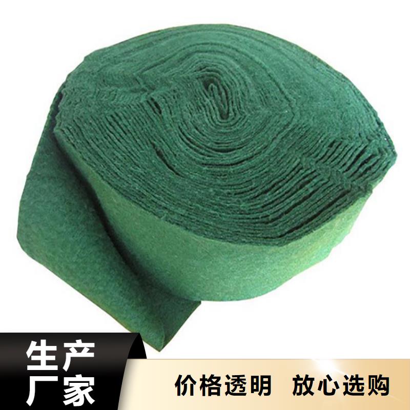裹树布钢塑土工格栅当日价格