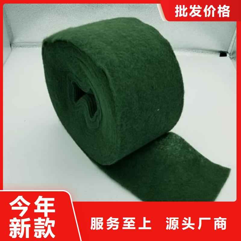 裹树布钢塑土工格栅当日价格