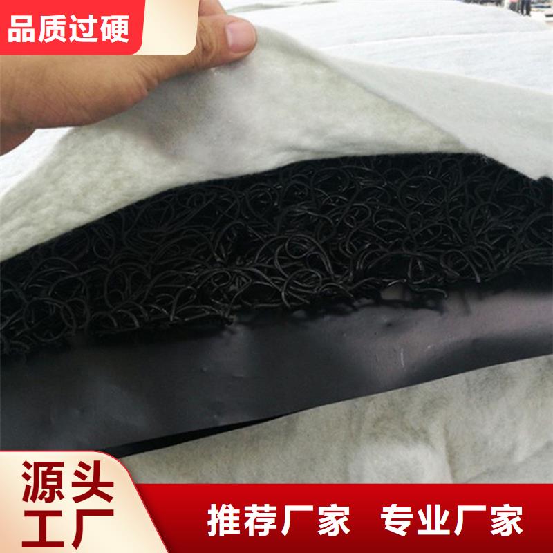 土工席垫_橡胶支座自有厂家