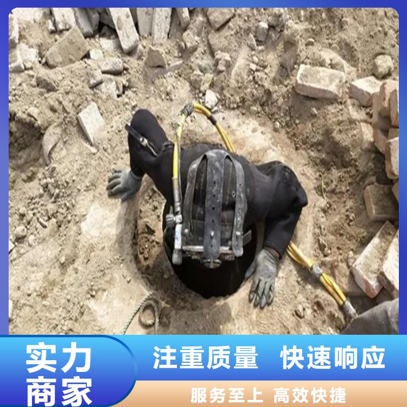 水下作业价格