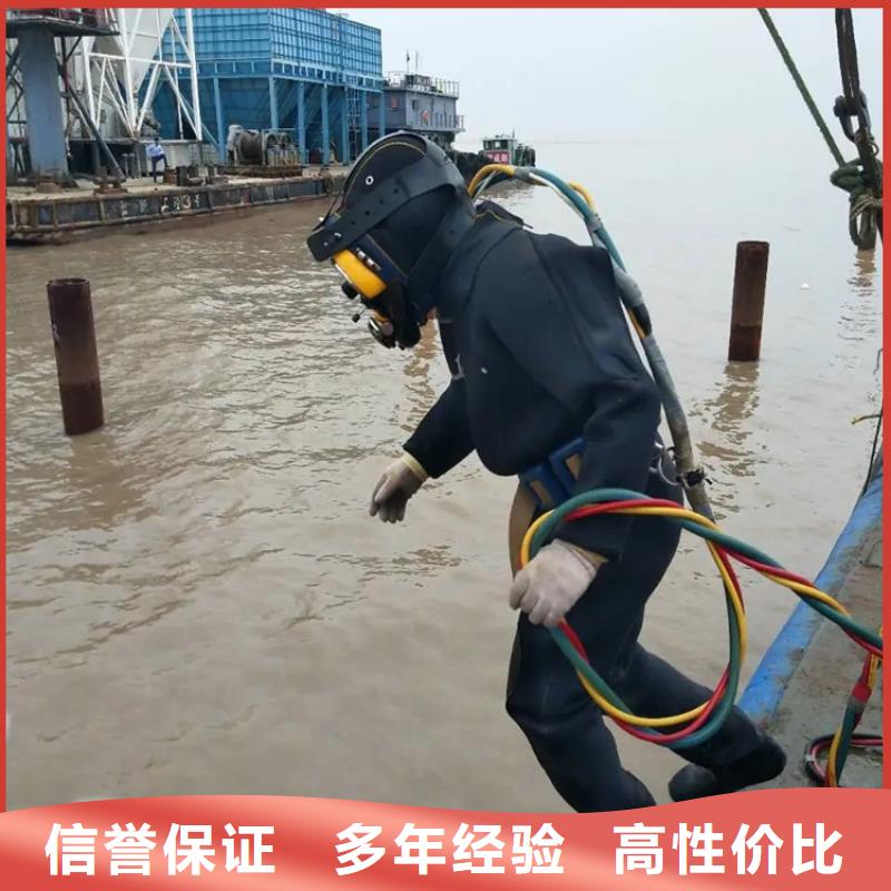 水下拍照摄像团队