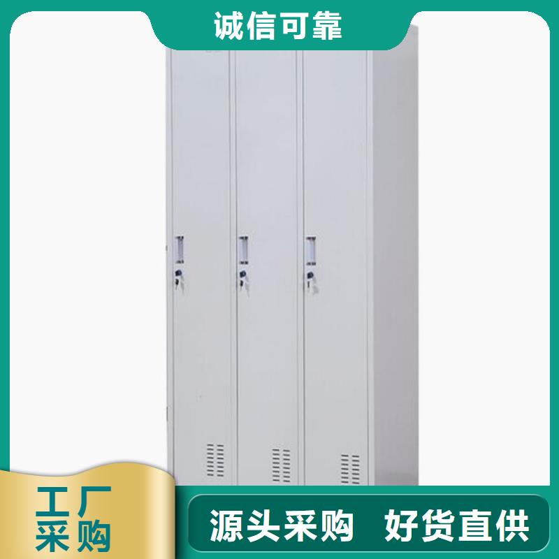 莱城铁皮文件柜定做